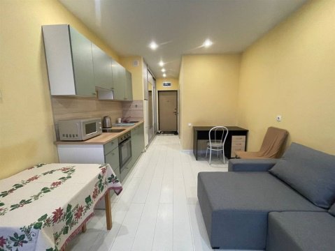 Студия, 2/17 эт., 24м²